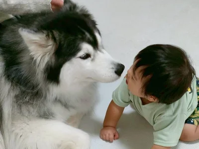 お子さまともちちゃん。眼差しが優しい…▶保護者そのものの表情！（⇒次へ）