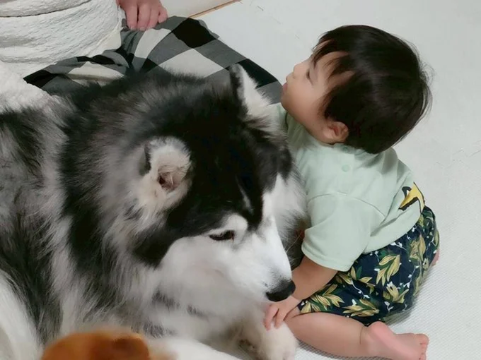 大きな守り神。いつもはオラオラだなんて想像つかない穏やかさ