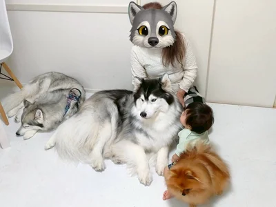 守り神大集合▶新生児の頃から見守っている、ベテラン守り神（⇒次へ）