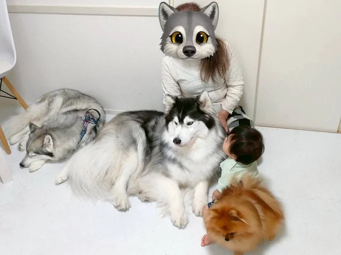 守り神大集合▶新生児の頃から見守っている、ベテラン守り神（⇒次へ）