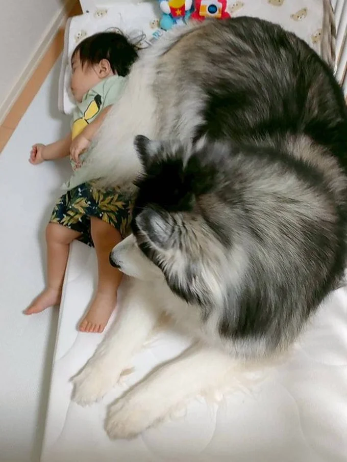 貫禄がありますね！▶みんなが集まる場所（⇒次へ）