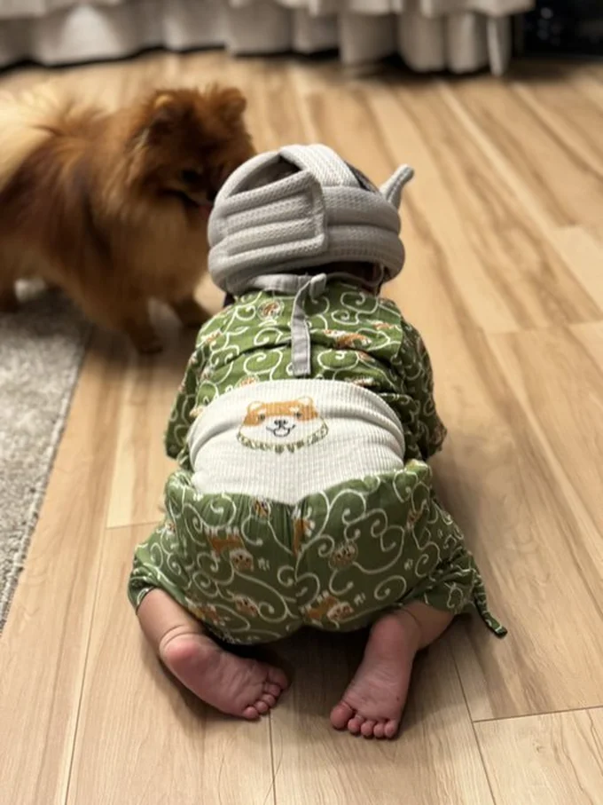 ポメラニアンのきなこちゃんと柴犬の妖精…？▶自分をハスキーだと思っているきなこちゃん（⇒次へ）