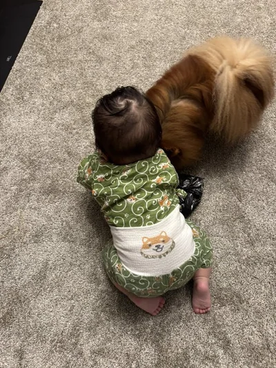 同じくらいのサイズ感ですね！▶（次画像からは甘えん坊で姫ばあちゃんを守る使命感がとても強いゴールデンレトリバー。穏やかな日常を描いた『姫ばあちゃんとナイト』が読めます）