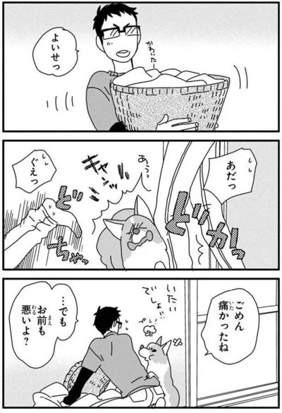 『あしょんでよッ〜うちの犬ログ〜4』より