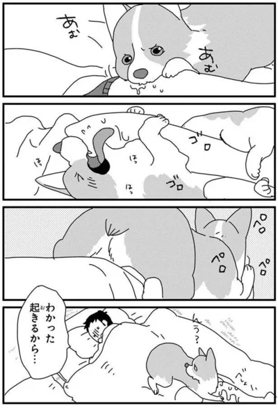 『あしょんでよッ〜うちの犬ログ〜4』より