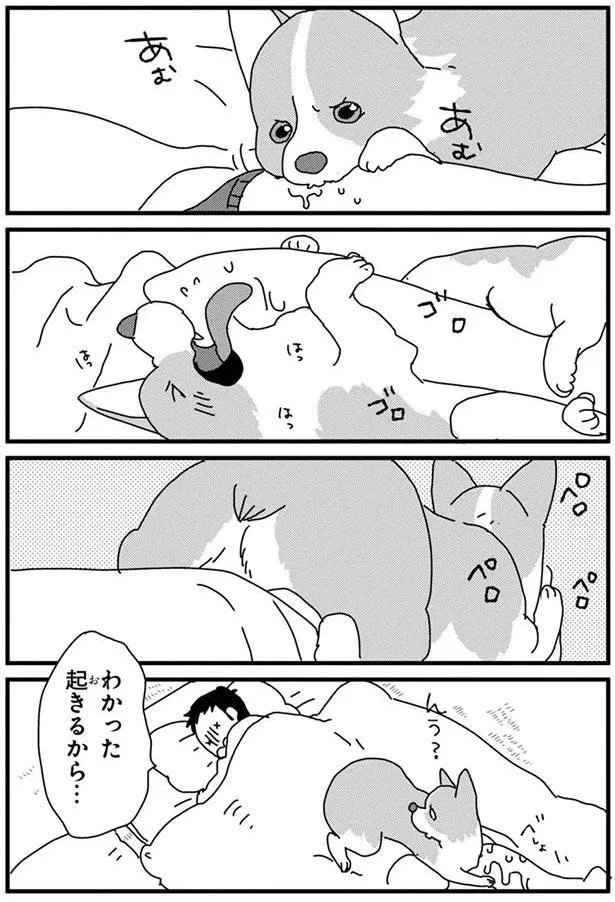 『あしょんでよッ〜うちの犬ログ〜4』より