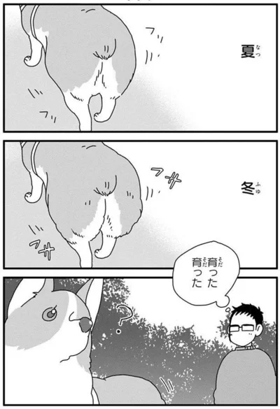 『あしょんでよッ〜うちの犬ログ〜4』より