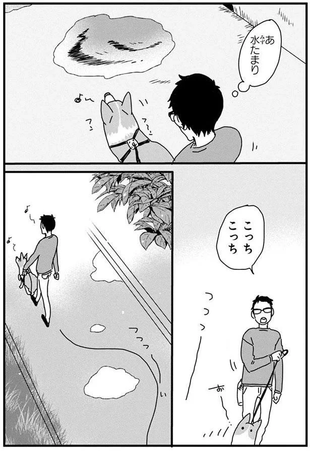 『あしょんでよッ〜うちの犬ログ〜4』より