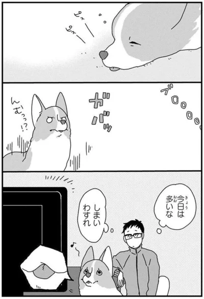 『あしょんでよッ〜うちの犬ログ〜4』より