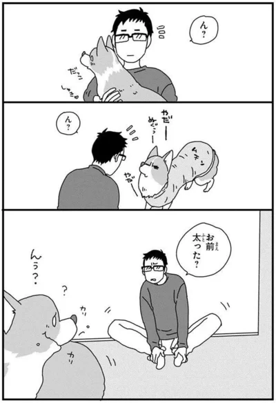 『あしょんでよッ〜うちの犬ログ〜4』より