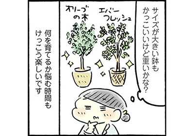 何を育てるか悩む時間もけっこう楽しいです
