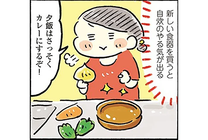 カレーがよりおいしそうに見える。専用皿で彩りアップ！