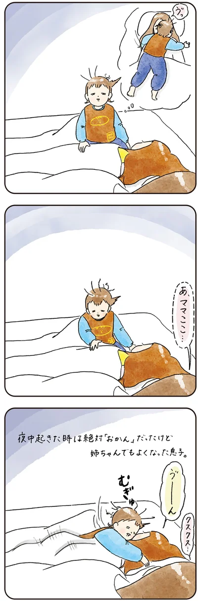 姉ちゃんでもよくなった息子