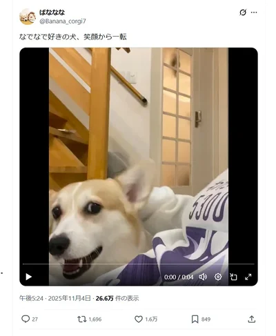 なでなでを止めると一変…▶まだまだご機嫌（⇒次へ）