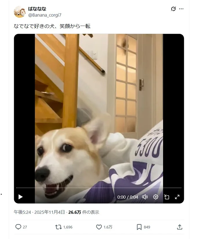 なでなでを止めると一変…▶まだまだご機嫌（⇒次へ）