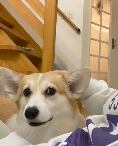 手が止まると表情が曇り…▶なんで止める？（⇒次へ）