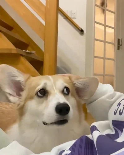 いぶかしげな表情に…！▶そこからじゃないとイヤ！（⇒次へ）