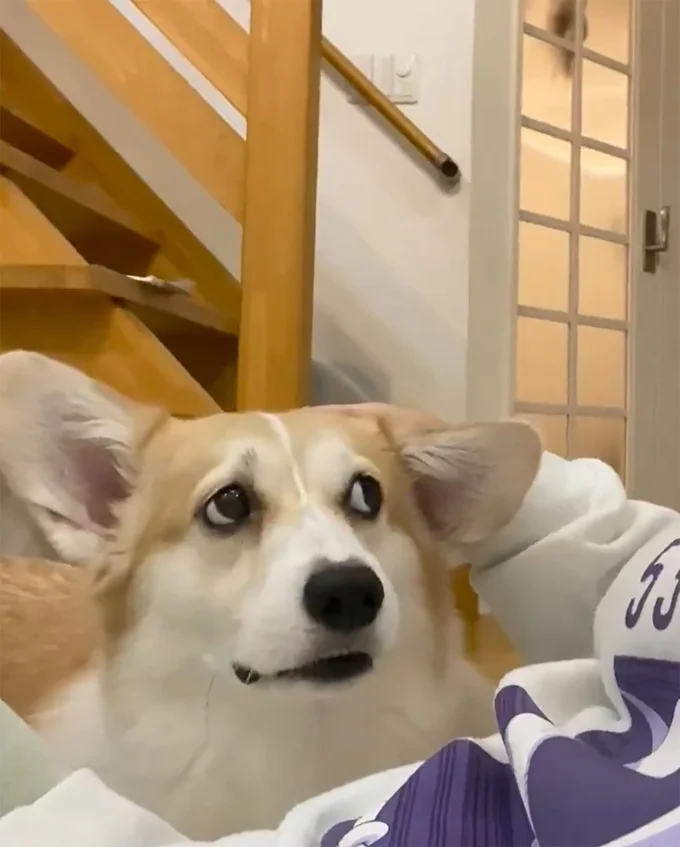 いぶかしげな表情に…！▶そこからじゃないとイヤ！（⇒次へ）