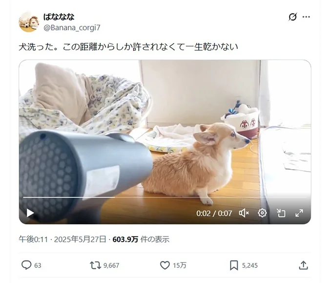 ギリギリ許された犬が一生乾かない距離▶頑なに…（⇒次へ）