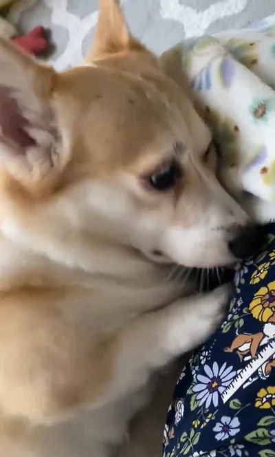 ホリホリ…▶まだまだ訴える…（⇒次へ）