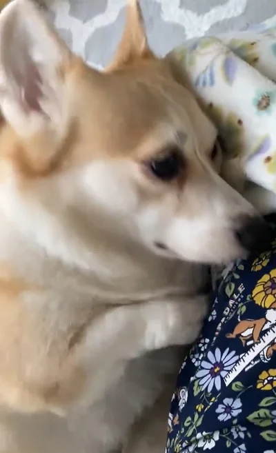 ホリホリ…ホリホリ…▶こちらを所望ですか（⇒次へ）