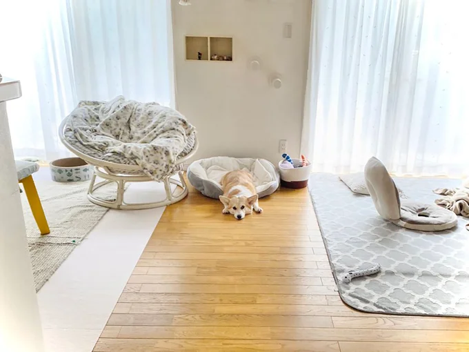 犬こね教の教祖様▶ちょっと失礼（⇒次へ）