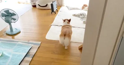 スッ…▶ど、どこに行く!?（⇒次へ）