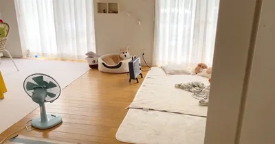 スチャ…（行かないという強い意志）▶実ってる～！（⇒次へ）