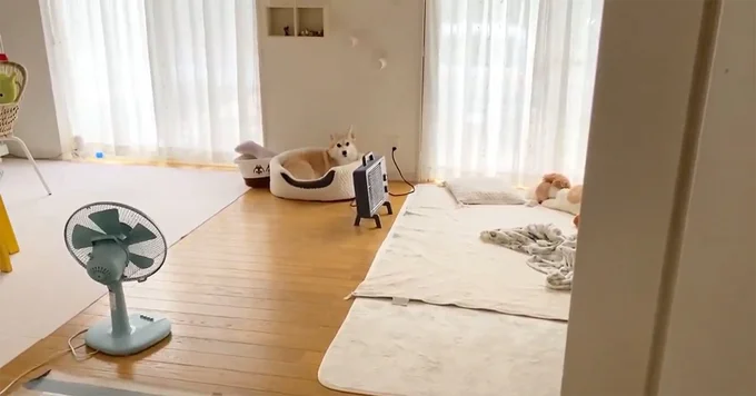 スチャ…（行かないという強い意志）▶実ってる～！（⇒次へ）