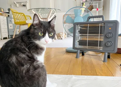 ストーブが怖いあんずちゃんとホカホカ大好きのちくわぶちゃん▶（次画像からほっこりすること間違いなし！わんちゃん観察型ショートコミック『あしょんでよッ〜うちの犬ログ〜2』が読めます）