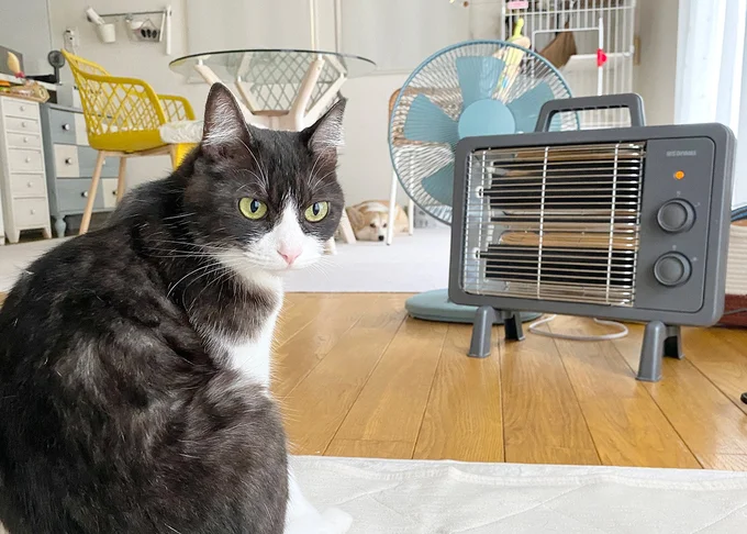 ストーブが怖いあんずちゃんとホカホカ大好きのちくわぶちゃん▶（次画像からほっこりすること間違いなし！わんちゃん観察型ショートコミック『あしょんでよッ〜うちの犬ログ〜2』が読めます）