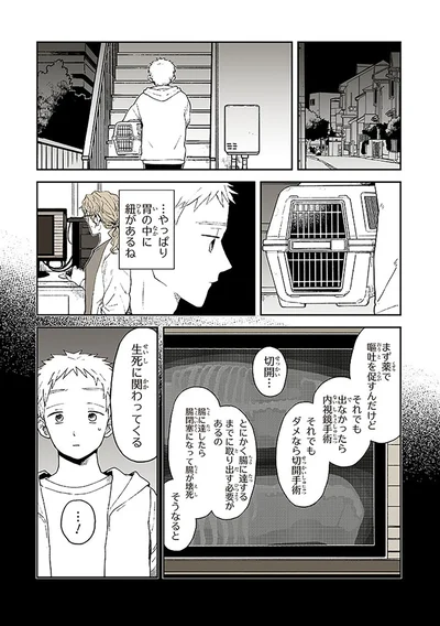 『特別じゃない日』より