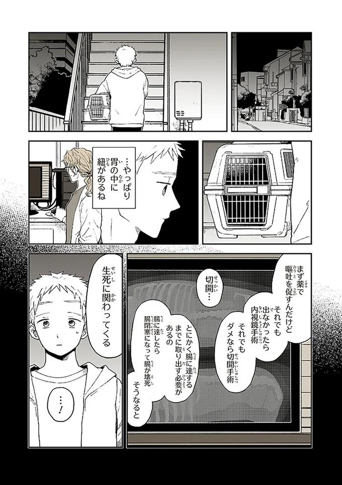 『特別じゃない日』より