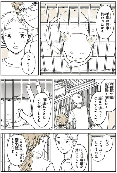 『特別じゃない日』より