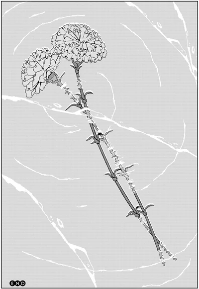 海に備えた2本のカーネーション