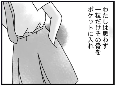 一粒だけポケットに…