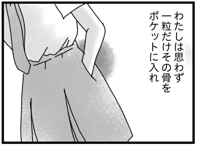 一粒だけポケットに…