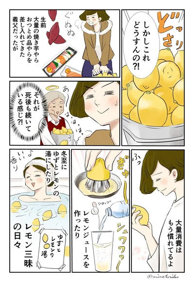 鶏肉の和風レモン煮に、冬至にゆずとレモンの湯。庭にレモンの木がある生活