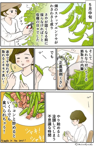 スナップエンドウの筋取り、めんどくさいけどキモチ良い！
