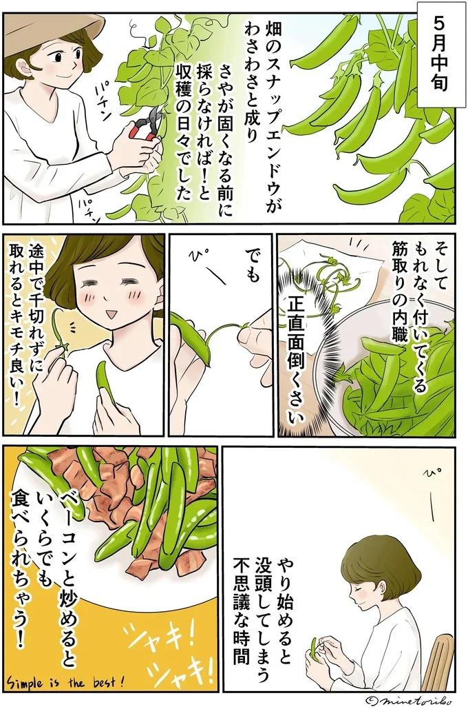 スナップエンドウの筋取り、めんどくさいけどキモチ良い！