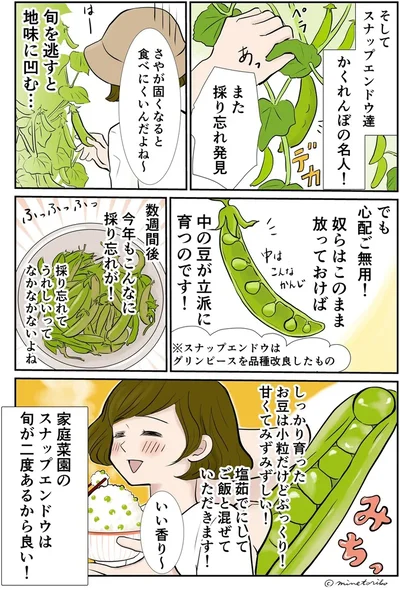 スナップエンドウの筋取り、めんどくさいけどキモチ良い！