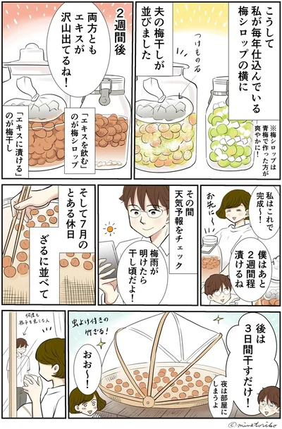 梅の季節の台所仕事。手作り梅干しはおひさまの味
