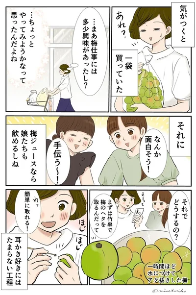 やってみたら意外に簡単!? 梅の実で作る梅ジュース