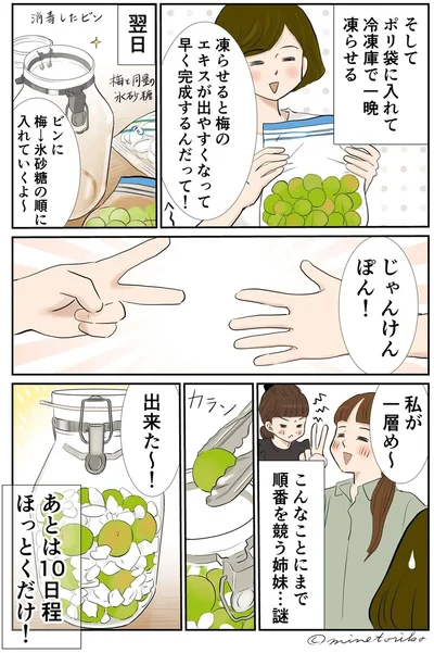 やってみたら意外に簡単!? 梅の実で作る梅ジュース