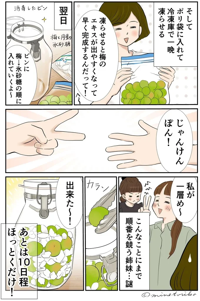 やってみたら意外に簡単!? 梅の実で作る梅ジュース