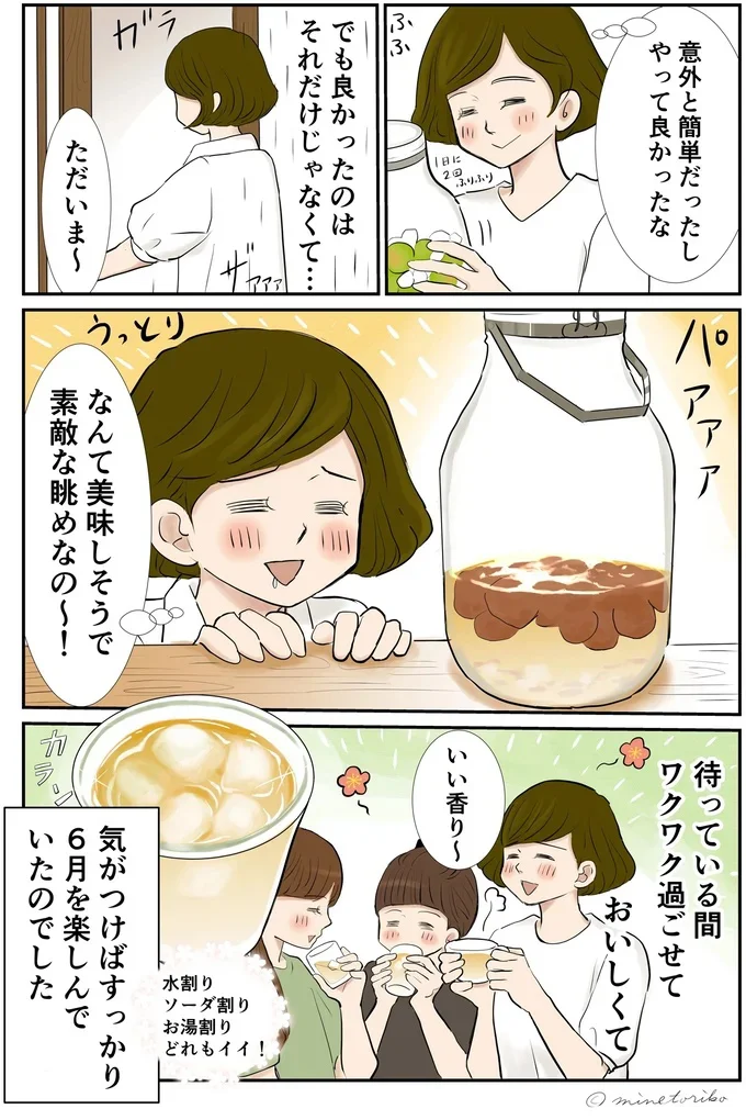 やってみたら意外に簡単!? 梅の実で作る梅ジュース