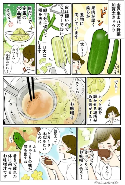 金沢生まれの「加賀太きゅうり」は、煮物やおみそ汁にぴったり！