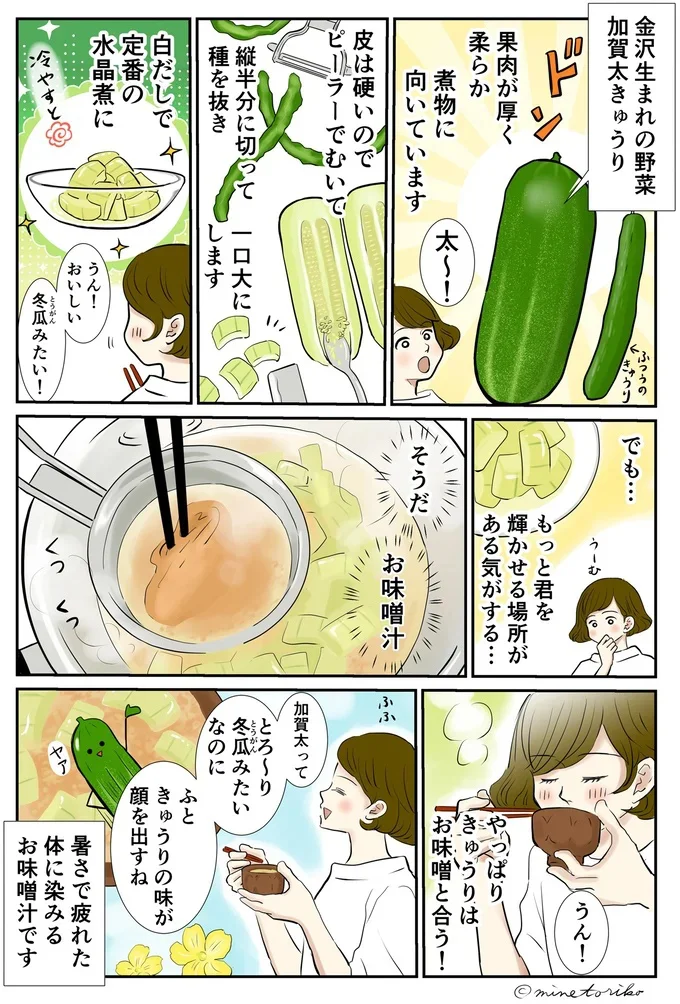 金沢生まれの「加賀太きゅうり」は、煮物やおみそ汁にぴったり！