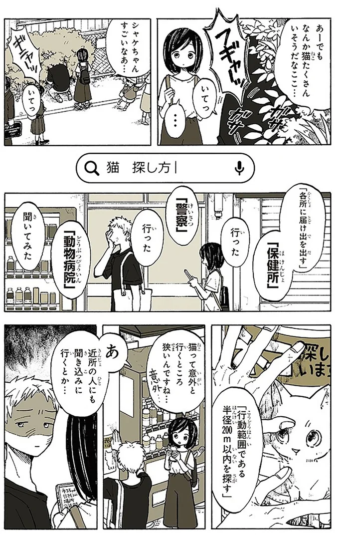 なんか猫たくさんいそうだな