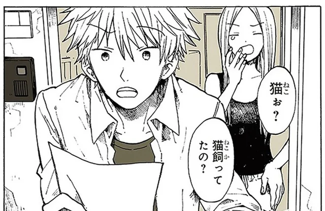 飼っていた子猫が行方不明。ご近所さんに猫を見ていないか尋ねてもらった「怪しい粉」